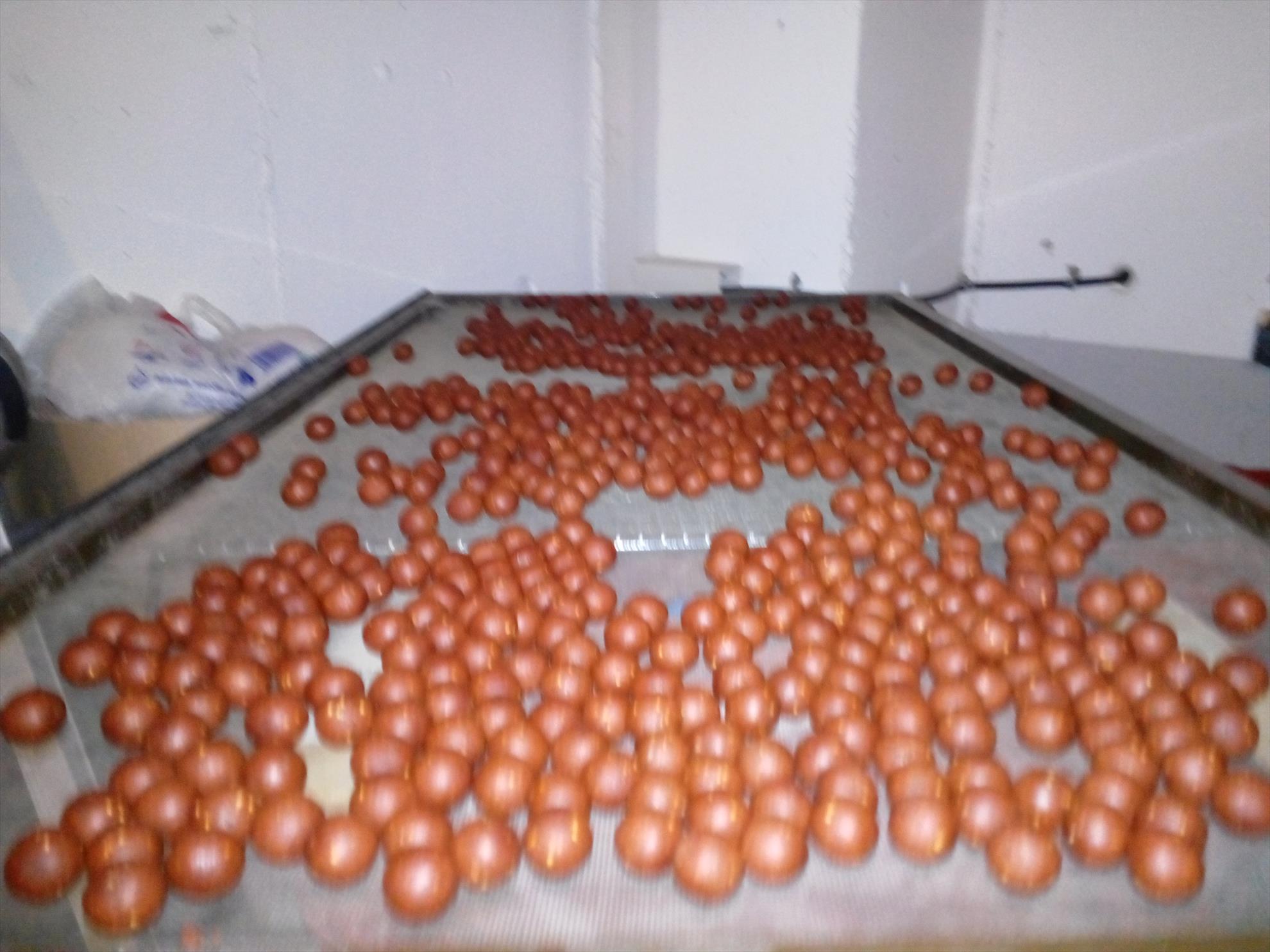 Sa facem bile, am zis.... - img20140509215023920.jpg